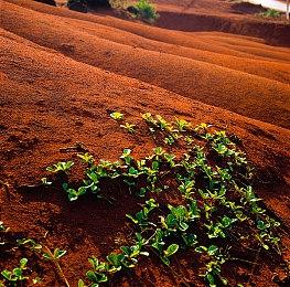 《飙酷车神》离线版初具雏形 民间作者发布实机演示