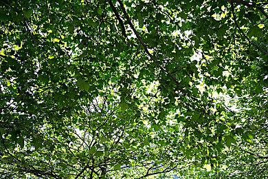 黑白风砍杀《Trek to Yomi》战斗预告 踏上复仇之路